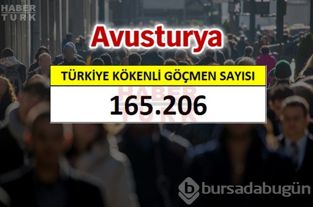 Hangi ülkede kaç Türk yaşıyor?