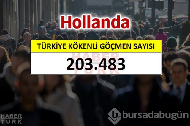 Hangi ülkede kaç Türk yaşıyor?