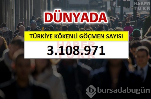 Hangi ülkede kaç Türk yaşıyor?