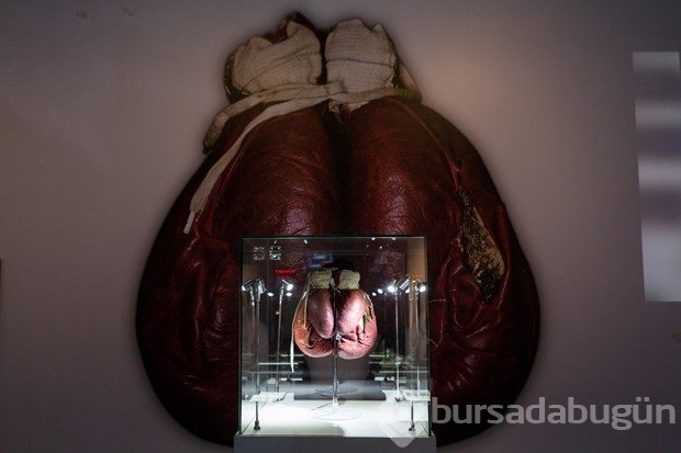 Muhammad Ali sergisi Londra'da açılıyor