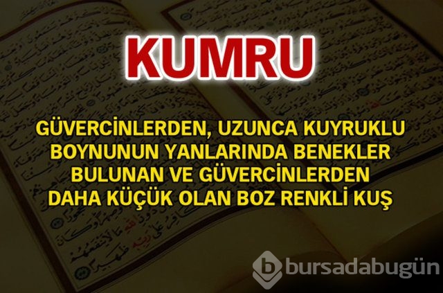 Kuran'da geçen isimler ve anlamları
