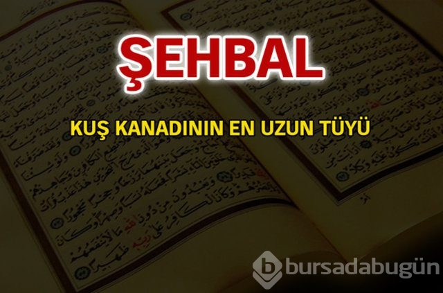 Kuran'da geçen isimler ve anlamları
