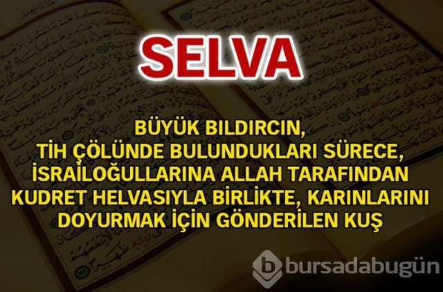 Kuran'da geçen isimler ve anlamları
