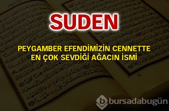 Kuran'da geçen isimler ve anlamları
