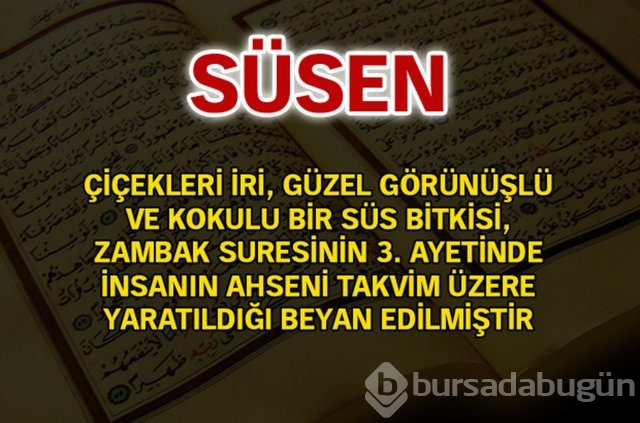 Kuran'da geçen isimler ve anlamları
