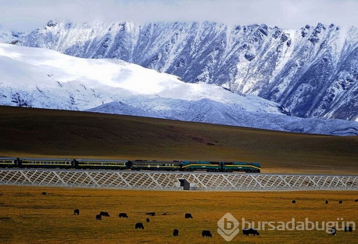 Dünyanın zirvesine giden tren