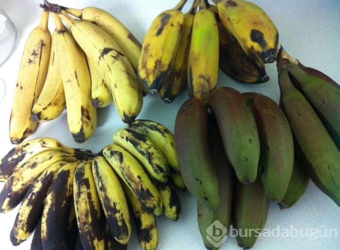 Günde 2 muz yiyerek neleri değiştirebilirsiniz?