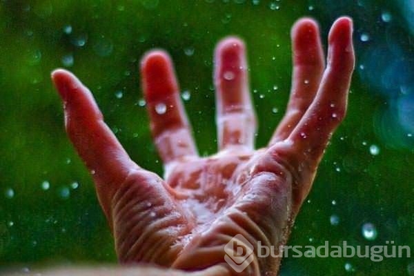 Parmaklar suda neden buruşur? İşte mucizenin cevabı