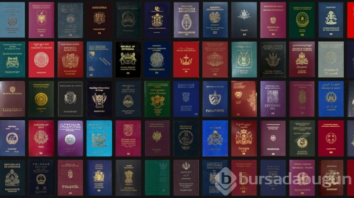 Dünyadaki tüm pasaportlar neden sadece 4 renk?