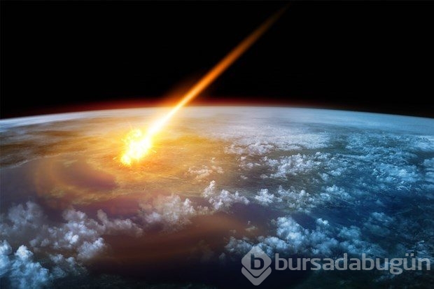 65 milyon yıllık soru cevap buluyor