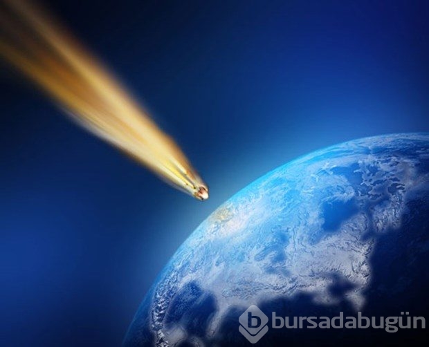 65 milyon yıllık soru cevap buluyor