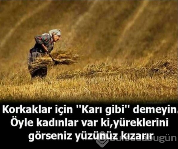 Ünlülerin 8 Mart paylaşımları