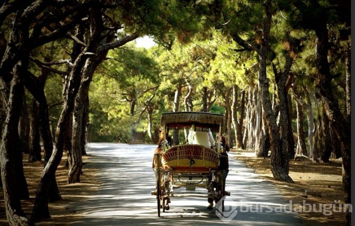 İstanbul'a en yakın tatil yerleri