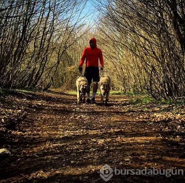 İnstagram'da ünlüler 9 Mart 2016	
