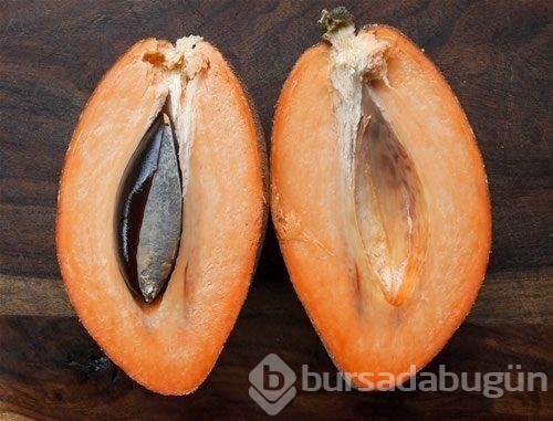 Daha önce böylesini görmediniz!