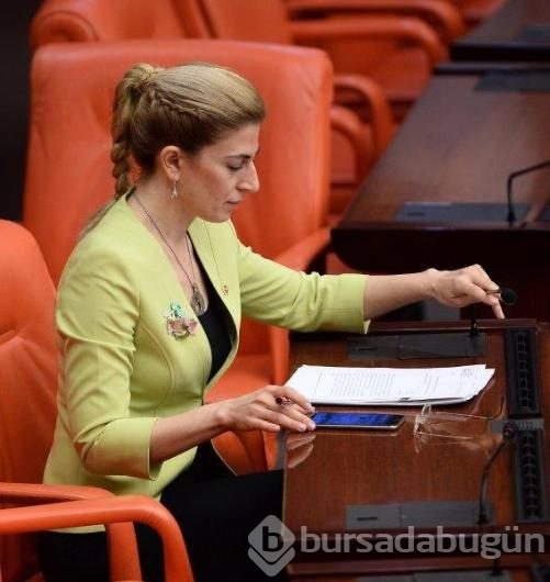 TBMM'de  bahar havası