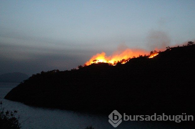 Marmaris'te orman yangını