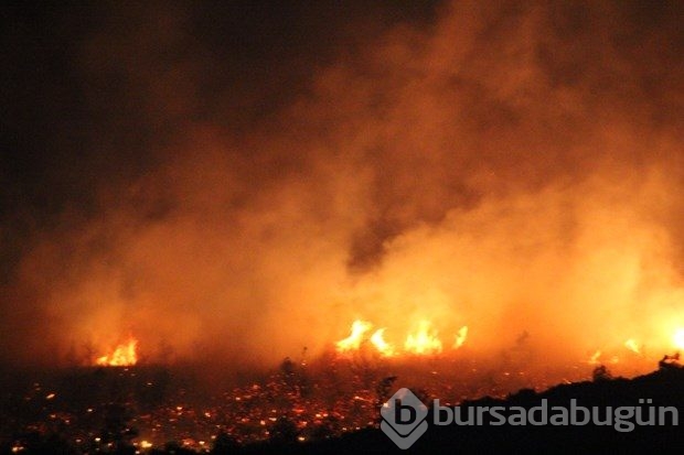 Marmaris'te orman yangını