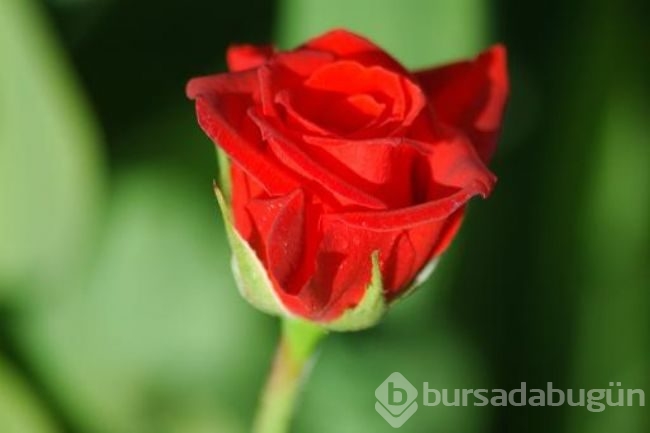 Günahlardan arınmak için neler yapmalıyız?