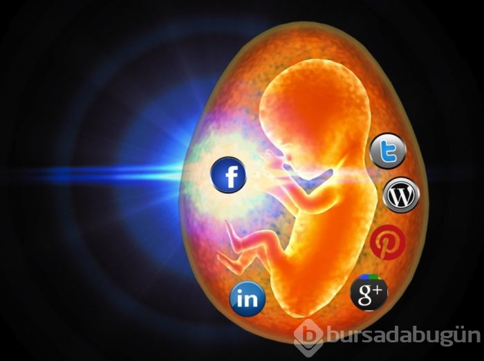 Beynimiz yıllar öncesinden Twitter ve Facebook'a hazırlanıyordu