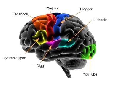 Beynimiz yıllar öncesinden Twitter ve Facebook'a hazırlanıyordu