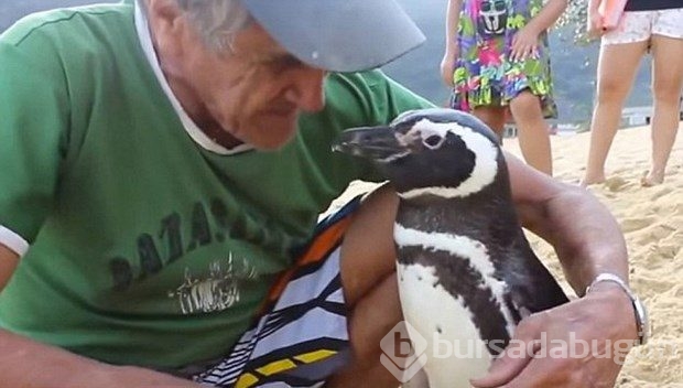 Her yıl 8 kilometre yüzerek minnetini gösteriyor