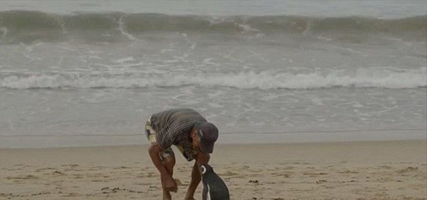 Her yıl 8 kilometre yüzerek minnetini gösteriyor