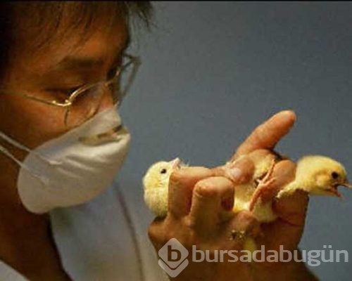 Bu işleri yapmak yürek ister!
