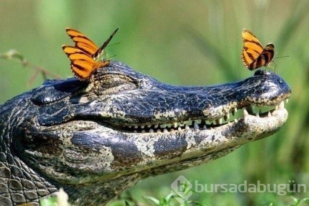 O anda çekilen ilginç kareler	
