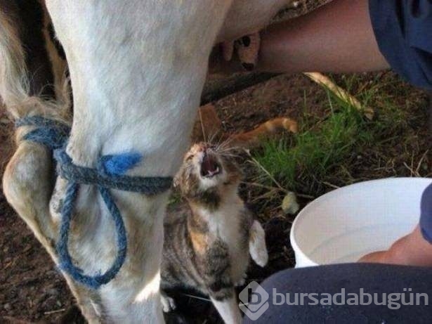 O anda çekilen ilginç kareler	
