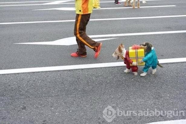 O anda çekilen ilginç kareler	
