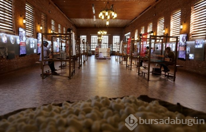 Bursa ipeğiyle yeniden dünya vitrinine çıkacak 