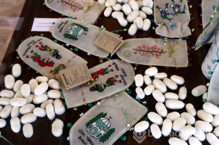 Bursa ipeğiyle yeniden dünya vitrinine çıkacak 