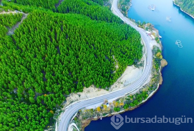 Uyandırılmayı bekleyen güzel