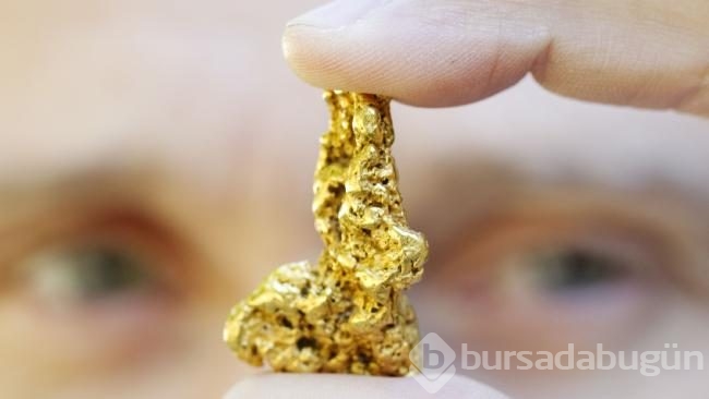 Tuvaletinizde gizli bir altın madeni yatıyor olabilir