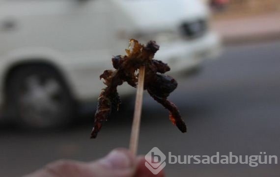 Hap gibi örümcek yutuyorlar