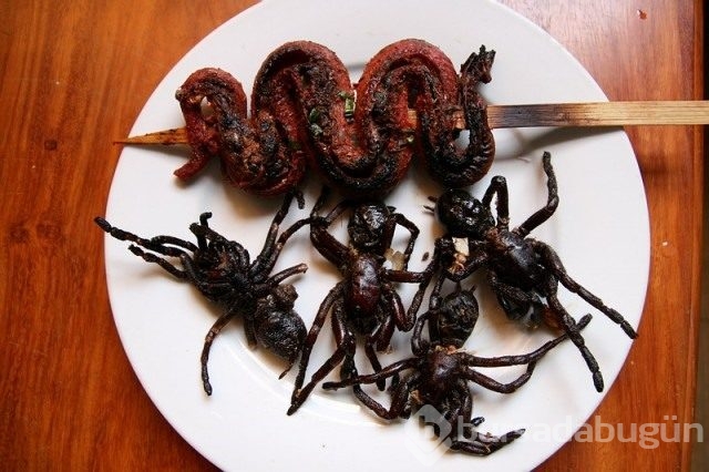 Hap gibi örümcek yutuyorlar