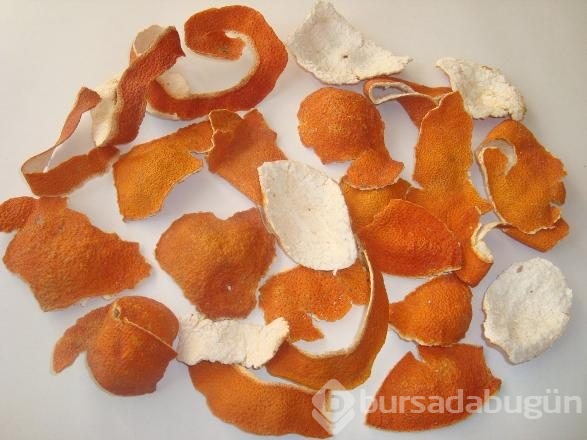 Kabuğu kendisinden 5 kat daha pahalı!