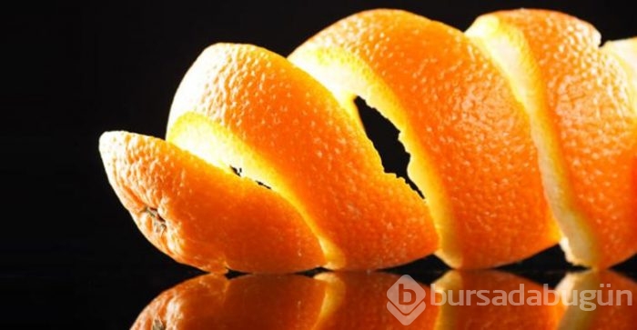 Kabuğu kendisinden 5 kat daha pahalı!