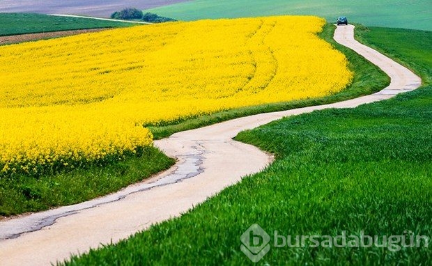 Fotoğrafçıların yeni uğrak noktası