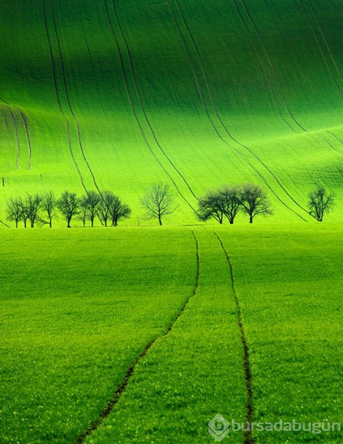 Fotoğrafçıların yeni uğrak noktası