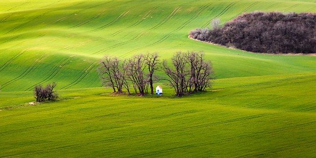 Fotoğrafçıların yeni uğrak noktası