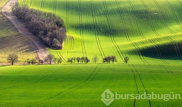 Fotoğrafçıların yeni uğrak noktası