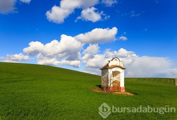 Fotoğrafçıların yeni uğrak noktası