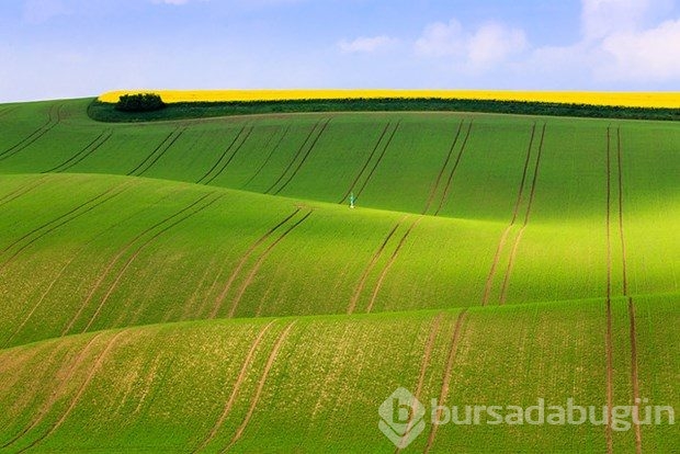 Fotoğrafçıların yeni uğrak noktası