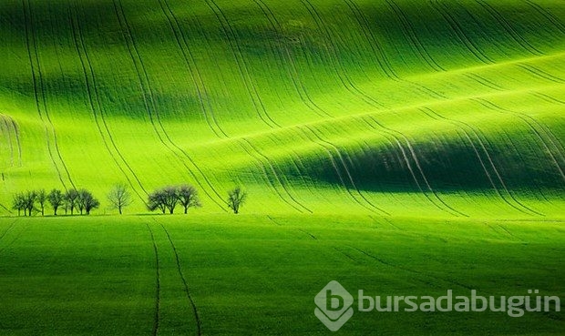 Fotoğrafçıların yeni uğrak noktası