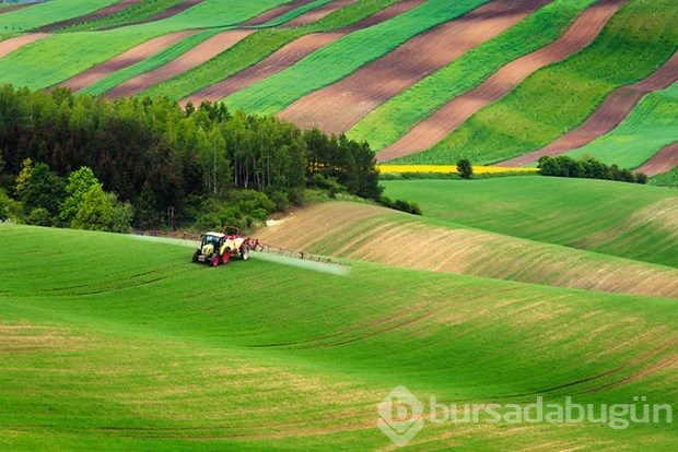 Fotoğrafçıların yeni uğrak noktası