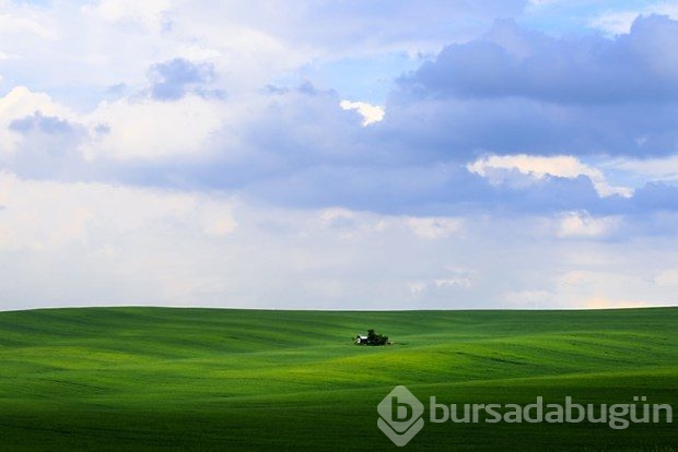 Fotoğrafçıların yeni uğrak noktası