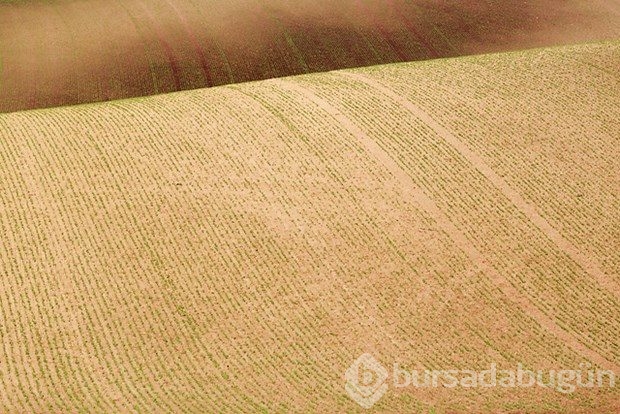 Fotoğrafçıların yeni uğrak noktası