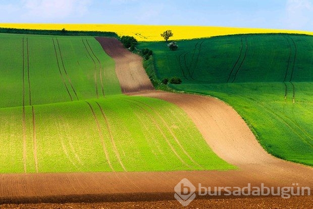 Fotoğrafçıların yeni uğrak noktası